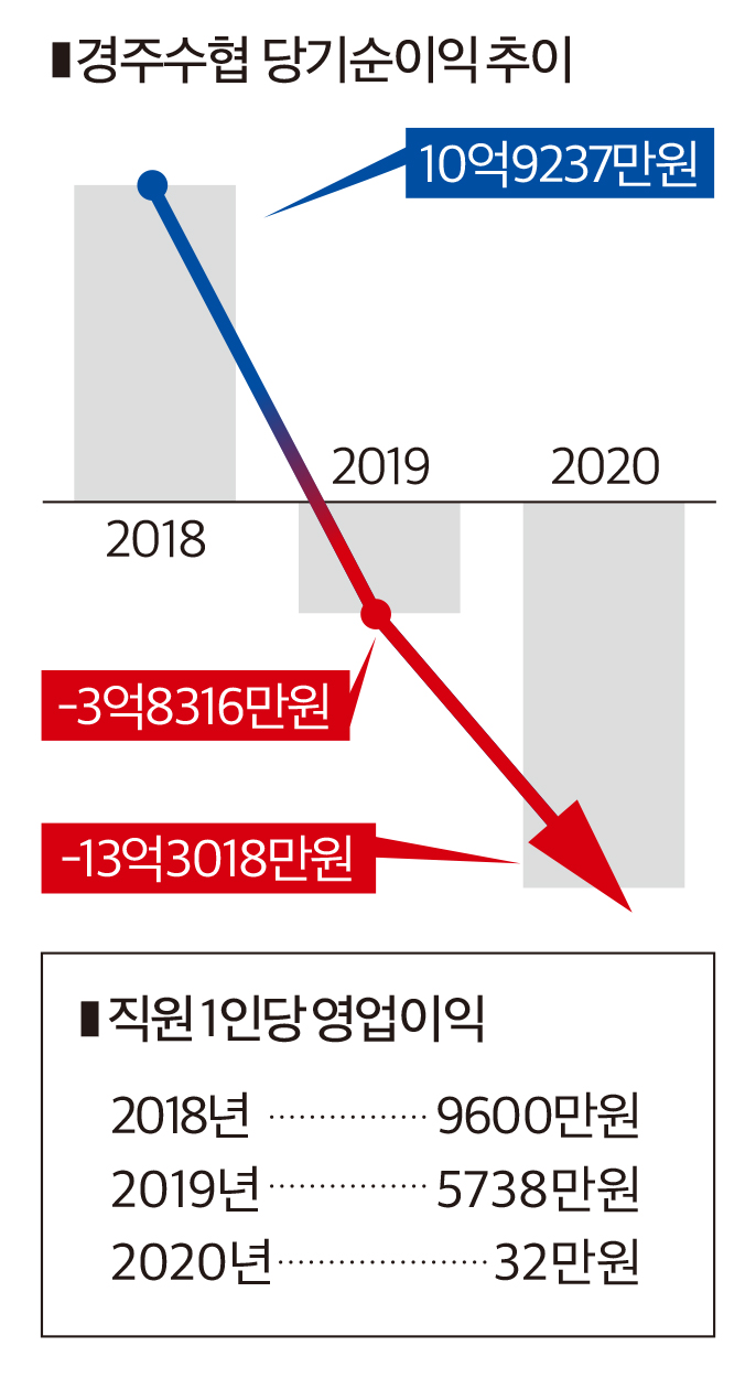 인포그래픽]경주수협 당기순이익 추이 < 인포그래픽 < 기사본문 - 영남경제