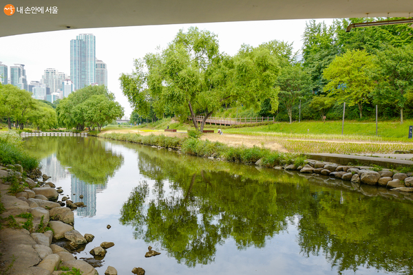 양재천 ©포항시