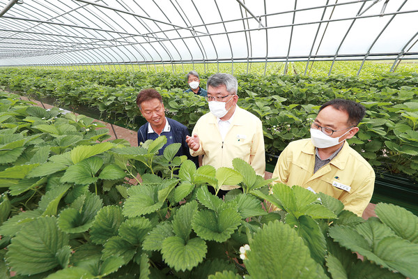 농가를 방문한 김학동 예천군수 ©예천군