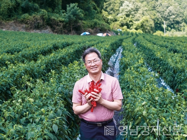 오도창 영양군수가 고추밭에서 고추를 들고 카메라를 향해 포즈를 취하고 있다. ⓒ영양군