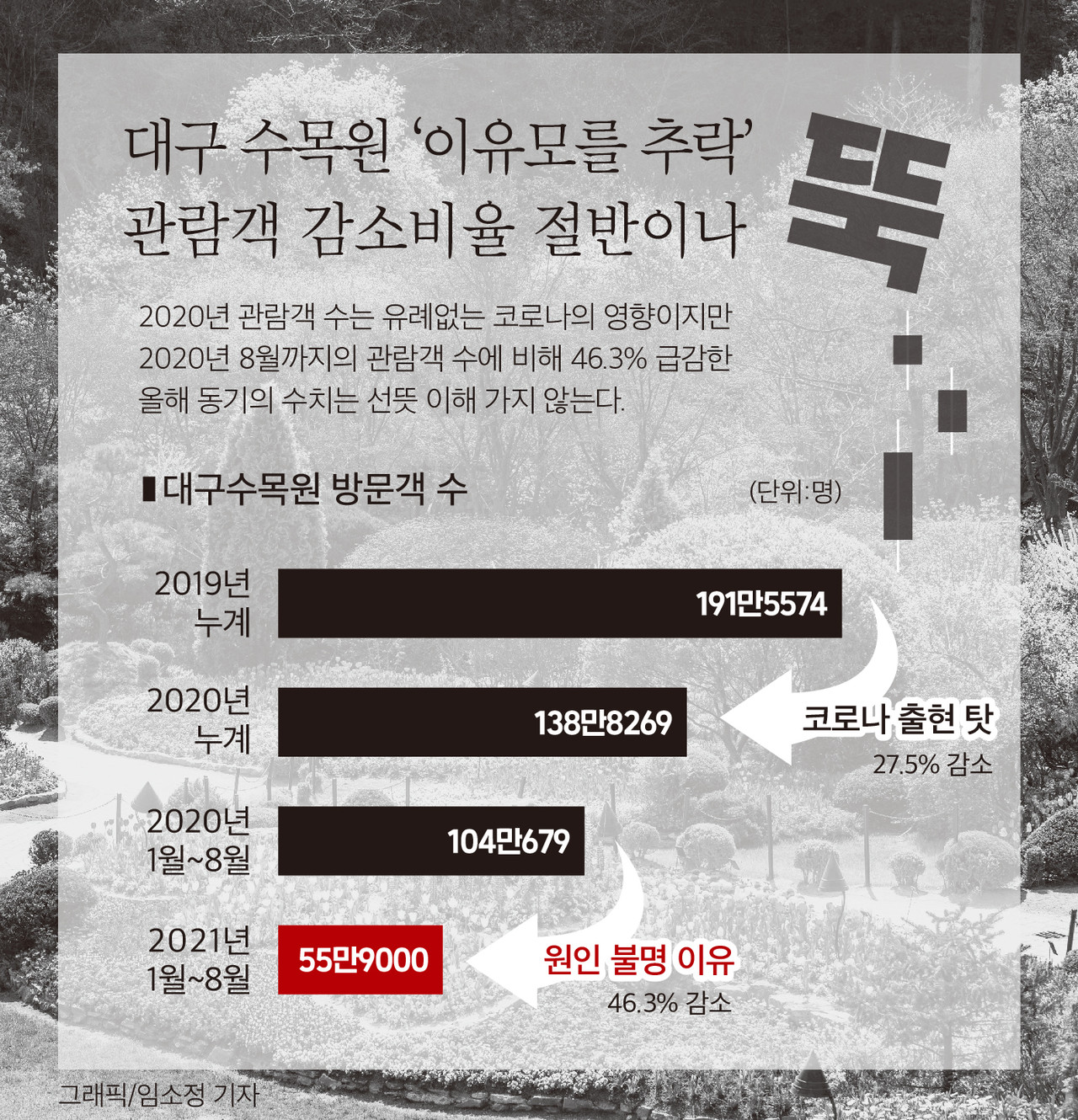 대구수목원 방문객 수 현황 ⓒ임소정 기자