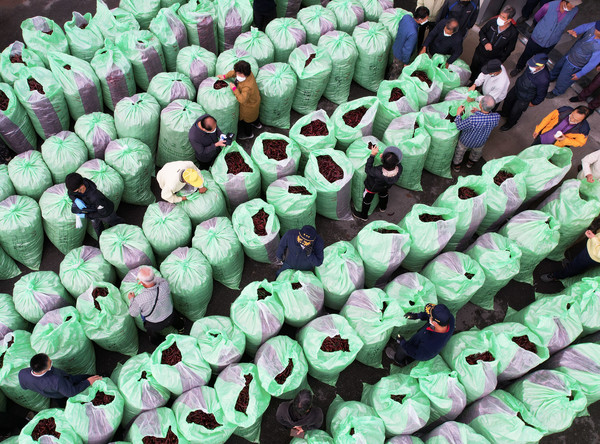 영양고추 수매현장을 찾은 오도창 영양군수. ⓒ영양군