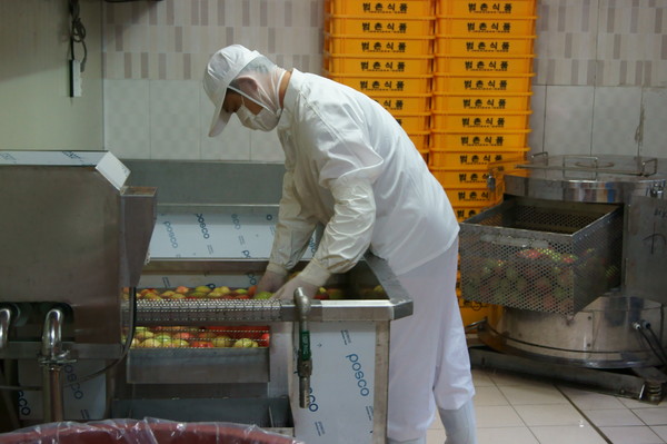 ▲장아찌에 들어갈 원재료를 선별해 세척 및 검수하고 있는 모습이다. ⓒ범촌