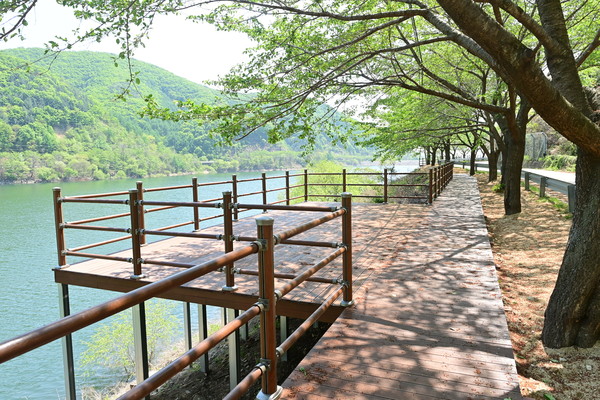 ▲V로드데크. ⓒ봉화군