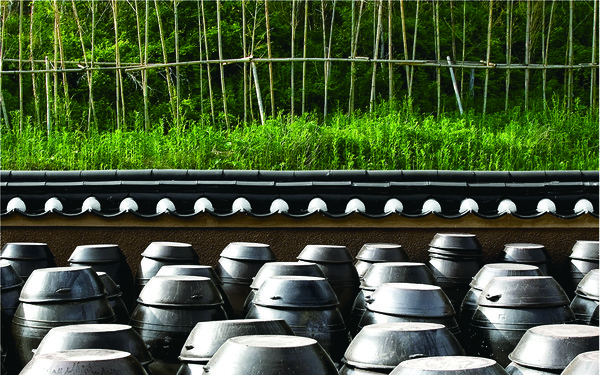 ▲3천독 규모의 죽장연.ⓒ죽장연