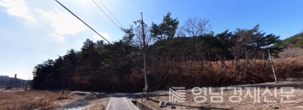 ▲ 포항 창포동 산61-3번지 일원 ⓒ네이버 지도