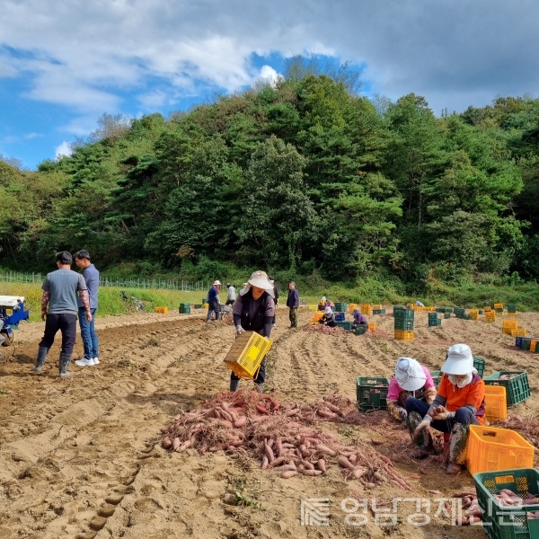 ▲ 외국인 근로자 일하는 모습. ⓒ봉화군