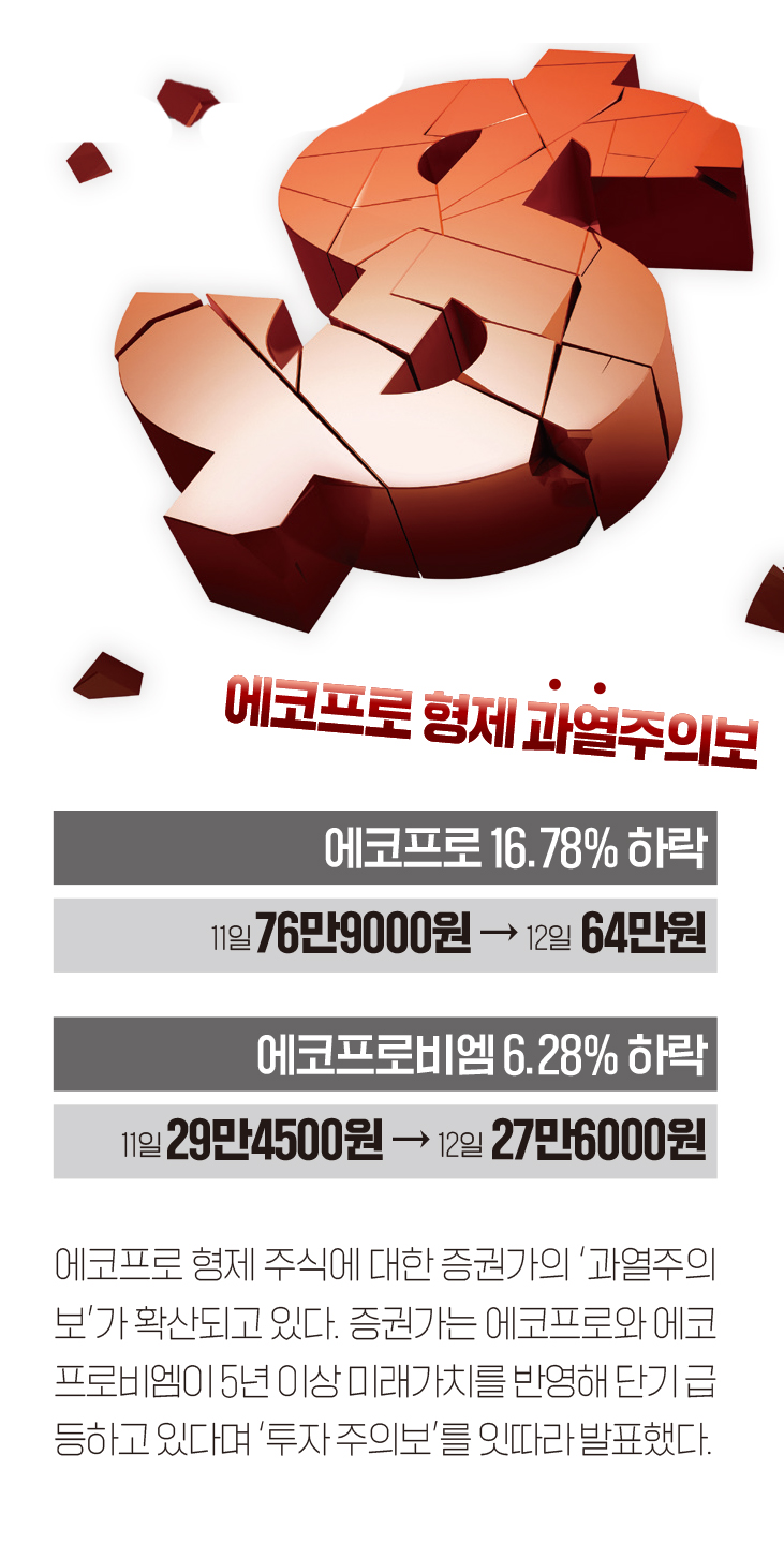 인포그래픽]에코프로·에코프로비엠 주가 현황 < 인포그래픽 < 기사본문 - 영남경제