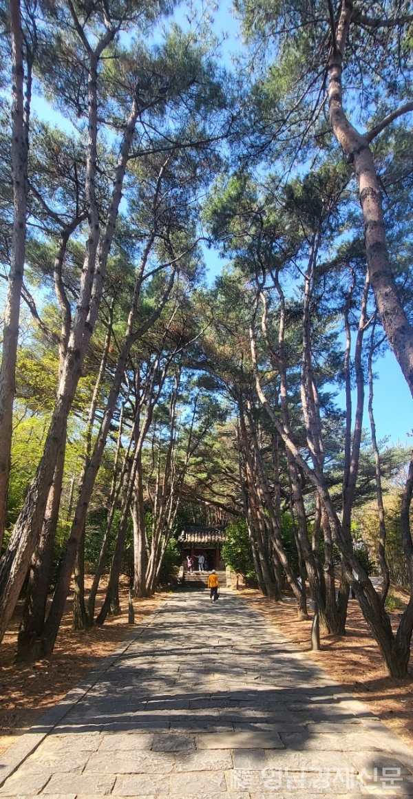 ▲ 첨망대로 잇는 호국공원 숲길. ⓒ영남경제 자료
