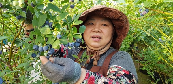 ▲ 이향자 대표. ⓒ홍계와이너리