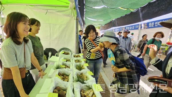 송이판매장 찾은 관광객 ⓒ봉화군