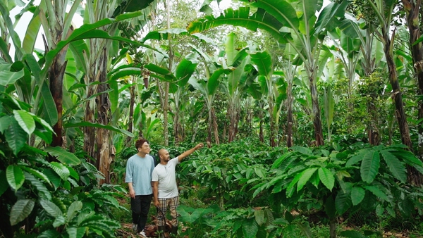 ▲ 카페몰리 김통겸 대표가 인도네시아 롬복의 커피농장을 둘러보고 있다.ⓒ카페몰리