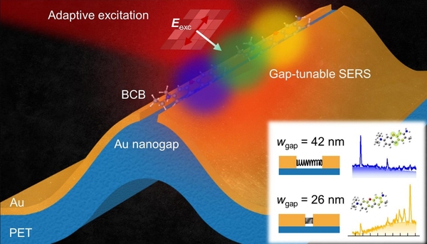 ▲ 잘 구부러지는 유연 기판 위의 금 나노갭(gap) 간극 조절이 가능한 라만 센서ⓒ포스텍