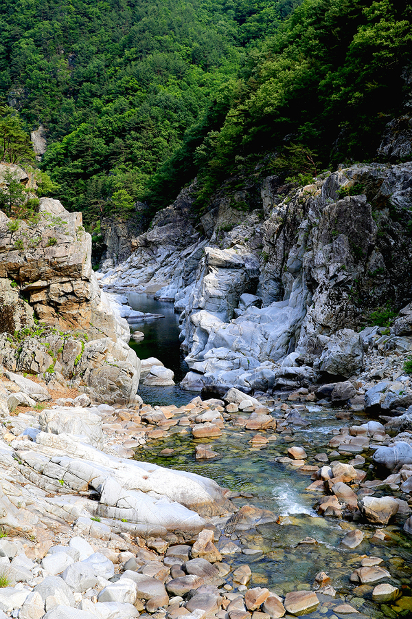 왕피천 생태 탐방로 ⓒ울진군