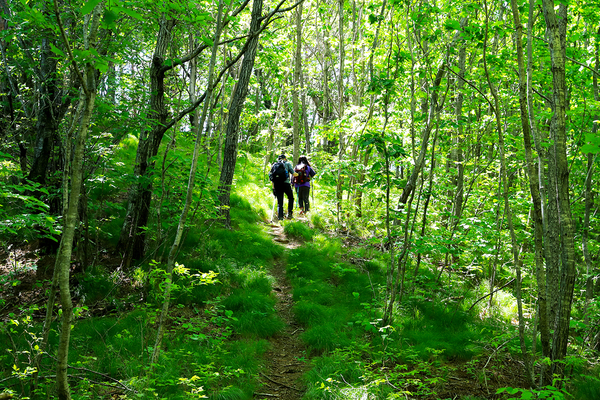 왕피천 생태 탐방로 ⓒ울진군