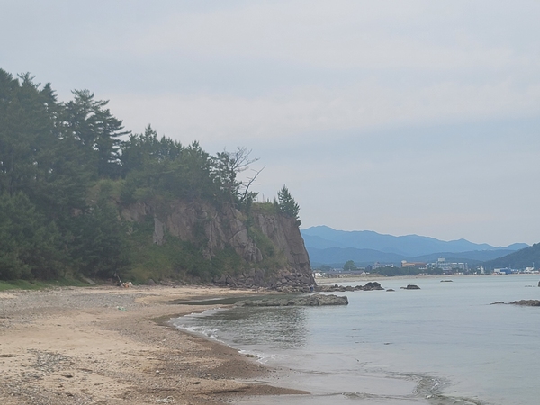 ▲ 조경대 ⓒ이정택 기자