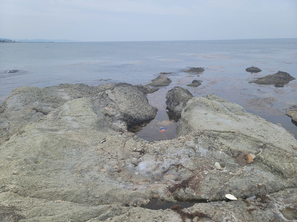 ▲ 용치바위 ⓒ이정택 기자