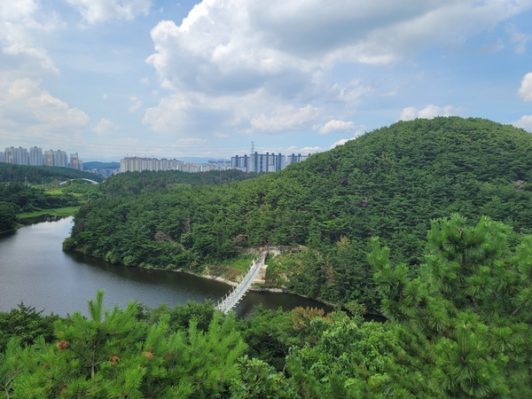 전망대에서 바라본 천마산,천마지와 양덕동 주택단지