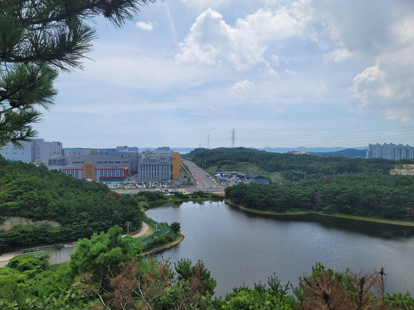 전망대에서 바라본 천마지와 에코프로