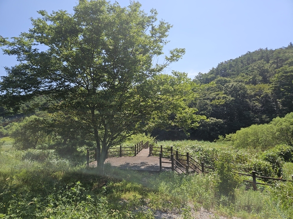 ▲ 저수지 상류, 목재데크 시작지점 ⓒ이정택 기자