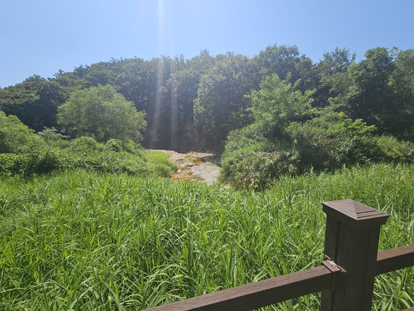 ▲ 저수지 상류의 모습 ⓒ이정택 기자