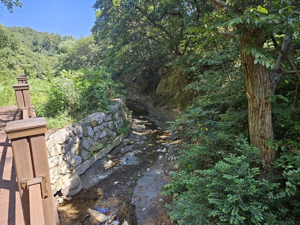 ▲ 저수지 상류, 골짜기 모습 ⓒ이정택 기자