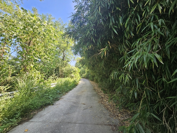 ▲ 둘레길 ⓒ이정택 기자