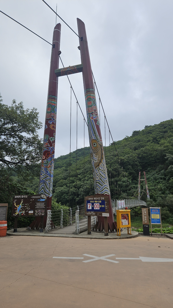▲ 운제산 원효교(출렁다리) 전경 ⓒ이정택 기자