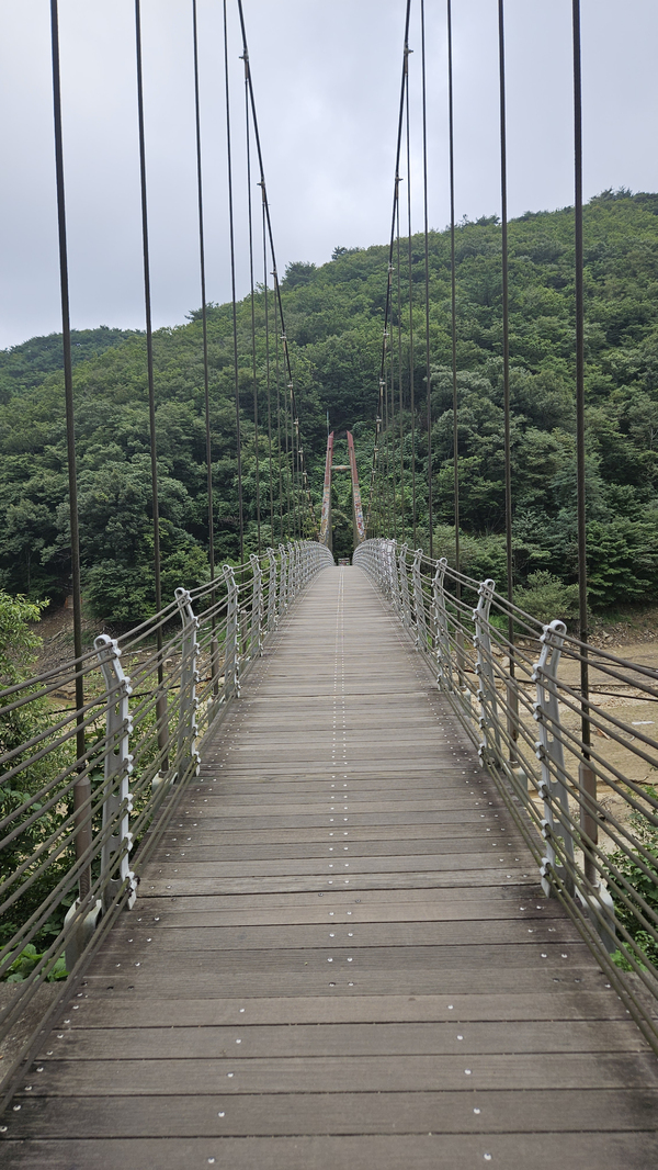 ▲ 출렁다리 ⓒ이정택 기자
