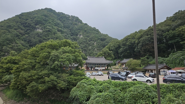 ▲ 산책로에서 바라본 오어사 ⓒ이정택 기자