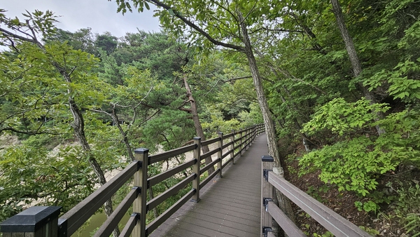 ▲ 데크로드 ⓒ이정택 기자