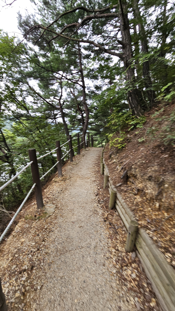 ▲ 둘레길 산책로 ⓒ이정택 기자