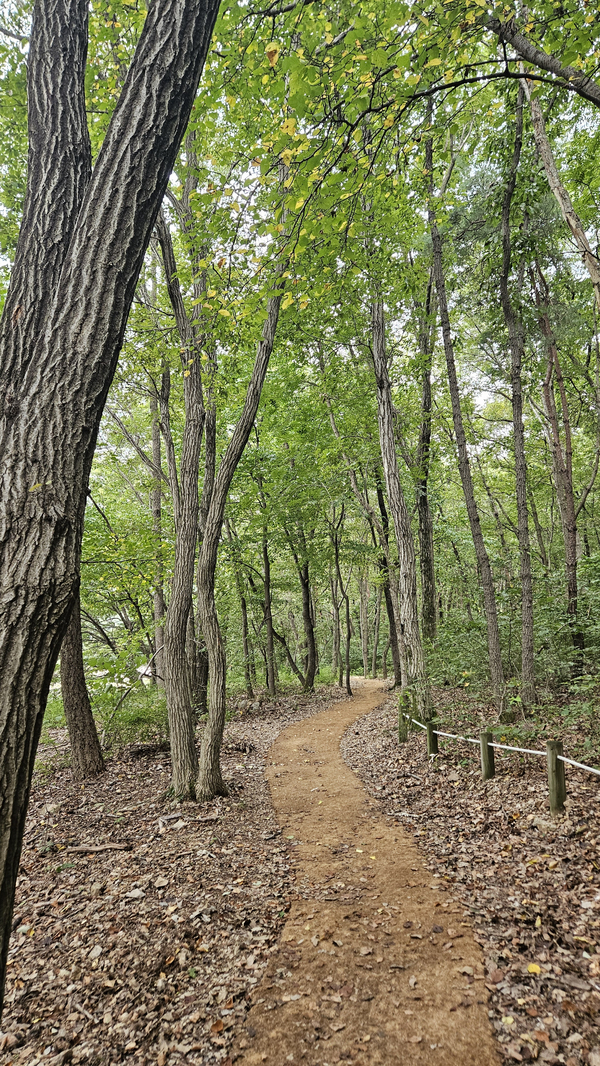 ▲ 둘레길 산책로​둘 ⓒ이정택 기자