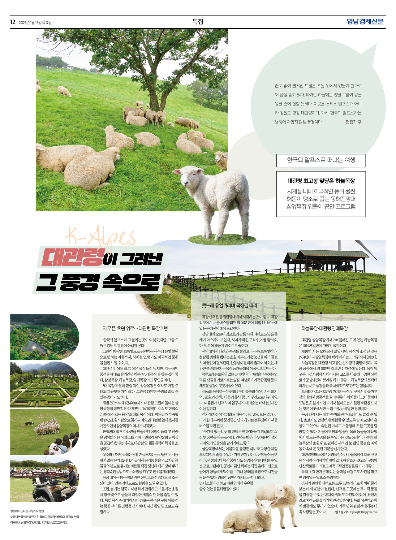 제작/김창숙 기자