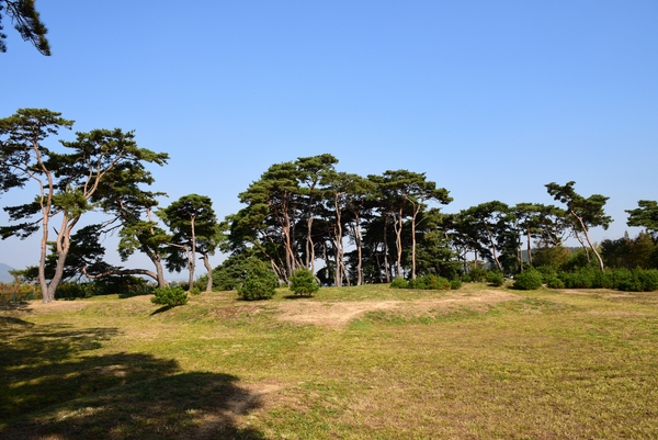 나정 전경. 경주 탑동에 위치한 나정은 신라의 첫번째 왕이자 경주 박씨의 시조인 박혁거세가 알에서 태어났다고 전해진다. ⓒ국가유산청