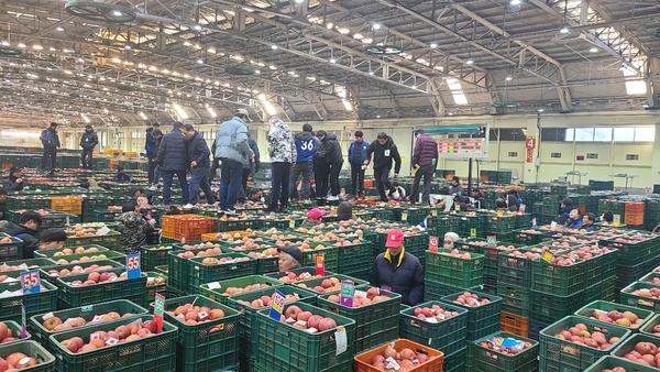 ▲ 안동농협 공판장에서 관계자들이 초매식 행사를 가지고 있다. ⓒ안동농협