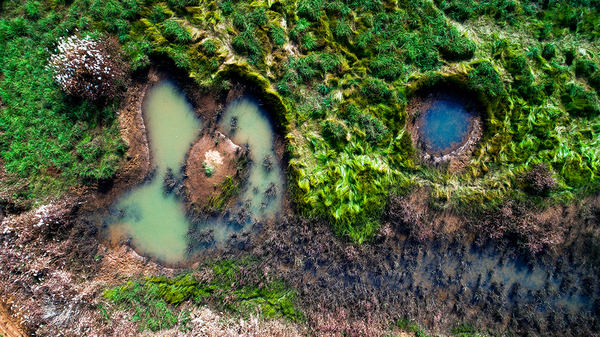 ▲ 돌리네습지 ⓒ문경시