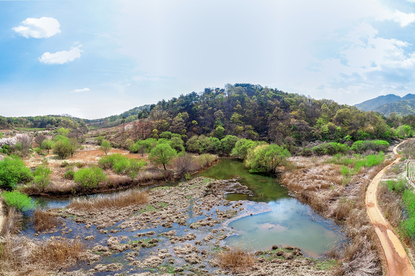 ▲ 돌리네습지 ⓒ문경시