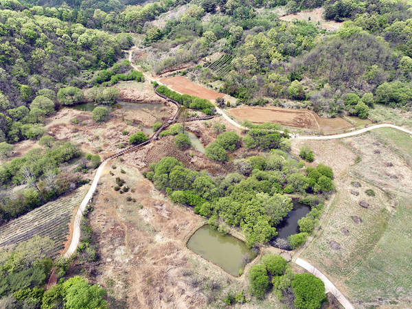 ▲ 돌리네습지 ⓒ문경시