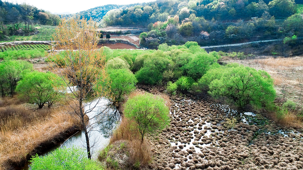 ▲ 돌리네습지 ⓒ문경시