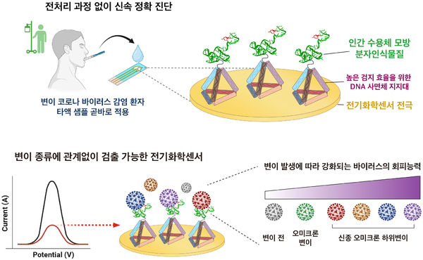 ▲ 연구팀이 개발한 전기화학센서 모식도. ⓒ포스텍