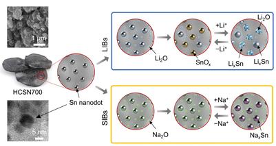▲ 하드카본-주석 나노 입자 복합 음극의 리튬이온전지와 나트륨이온전지에서의 거동 ⓒ포스텍
