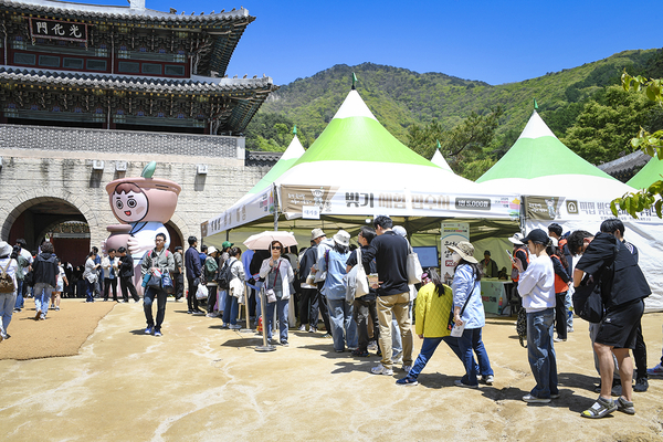 축제에 참여한 관광객들이 빚기 체험을 하기 위해 줄을 기다리고 있다. ⓒ문경시