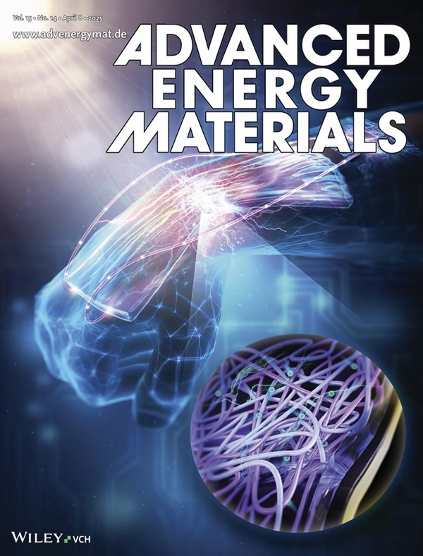 ▲ '어드밴스드 에너지 머티리얼즈(Advanced Energy Materials)' ⓒ포스텍