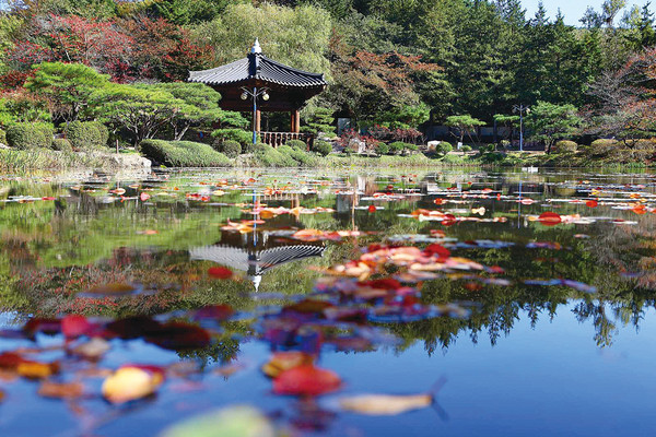 ▲ 경북문화관광공사가 추진 중인 복합시설지구 용도변경 등을 통한 ‘민간투자 환경개선사업’에 10개 업체가 투자의향서를 제출한 것으로 확인됐다. 사진은 보문정. ⓒ경주시