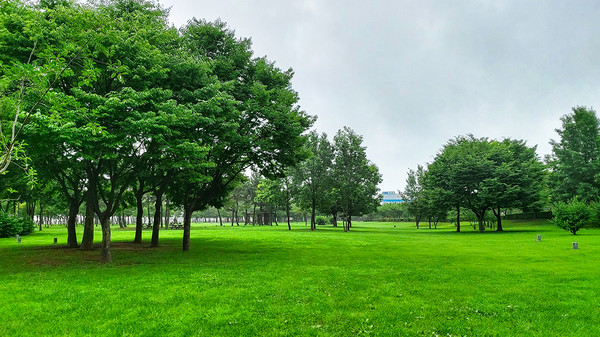 ▲ 기사와 관련 없는 이미지입니다. ⓒ영남경제 자료