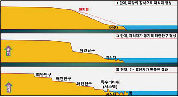 ▲ 그림3 구룡반도 해안단구의 형성과정.