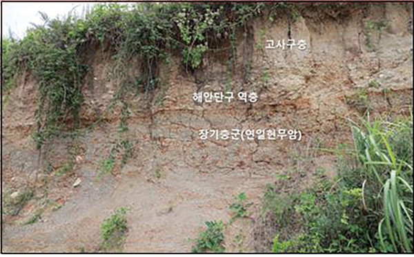 ▲ 그림4 구만리의 해안단구 퇴적층.