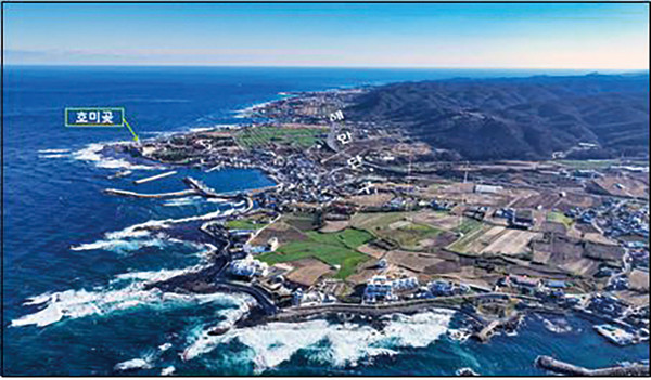 ▲ 그림5 대보리-구만리 일대의 해안단구.