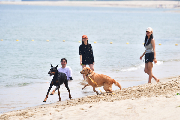▲ 구산 해수욕장 ⓒ울진군